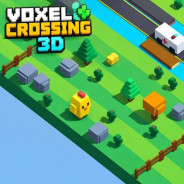 Voxel Crossing 3D
